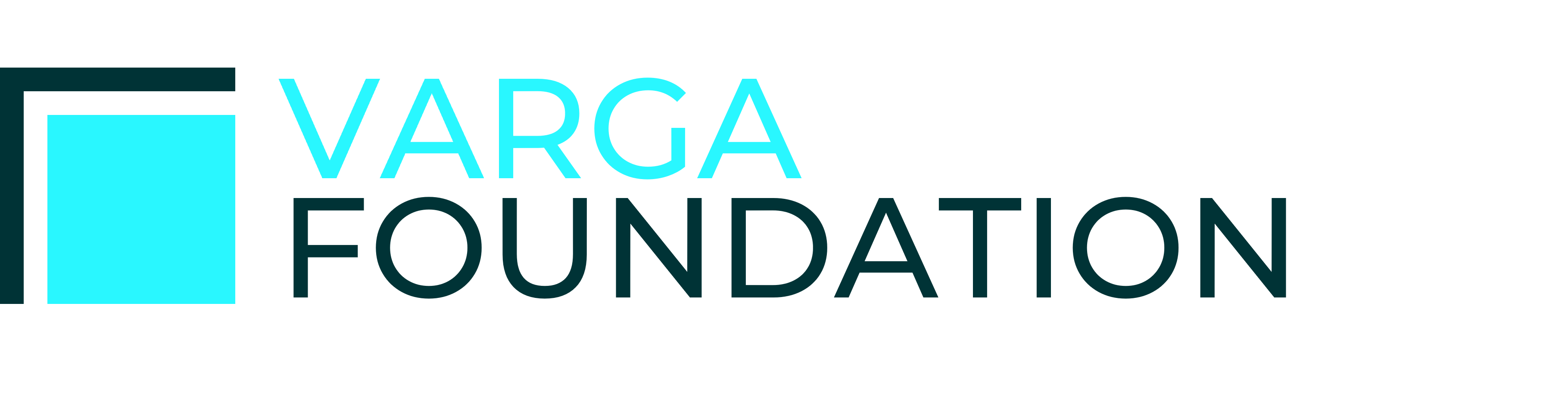 Varga Foundation Logo
